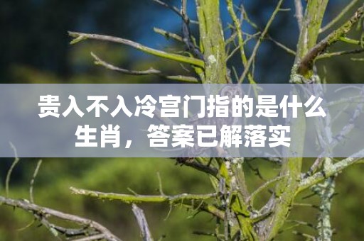贵入不入冷宫门指的是什么生肖，答案已解落实