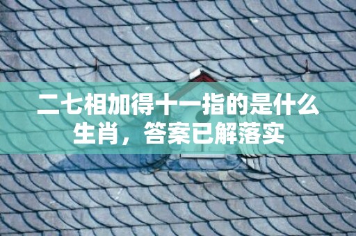 二七相加得十一指的是什么生肖，答案已解落实