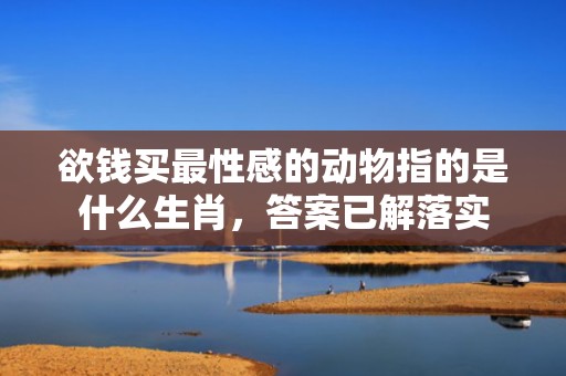 欲钱买最性感的动物指的是什么生肖，答案已解落实