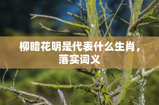 柳暗花明是代表什么生肖，落实词义