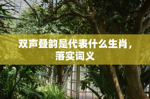 双声叠韵是代表什么生肖，落实词义