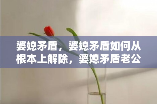 婆媳矛盾，婆媳矛盾如何从根本上解除，婆媳矛盾老公不处理