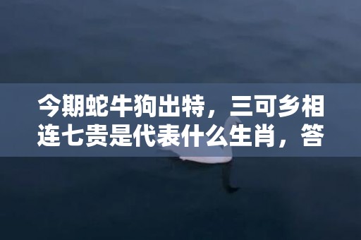 今期蛇牛狗出特，三可乡相连七贵是代表什么生肖，答案分析落实
