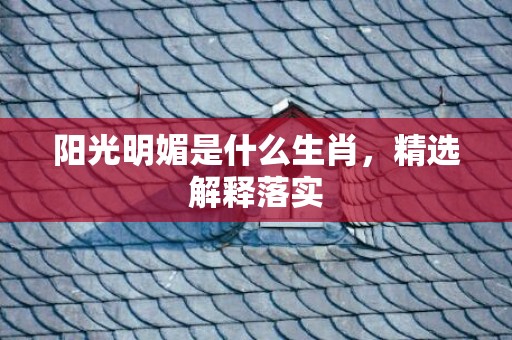 阳光明媚是什么生肖，精选解释落实