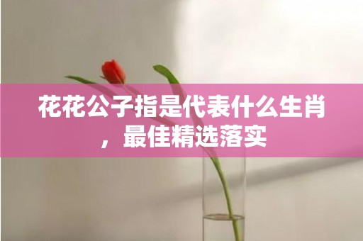 花花公子指是代表什么生肖，最佳精选落实