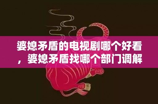 婆媳矛盾的电视剧哪个好看，婆媳矛盾找哪个部门调解呢
