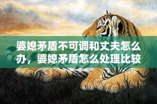 婆媳矛盾不可调和丈夫怎么办，婆媳矛盾怎么处理比较好一点呢知乎