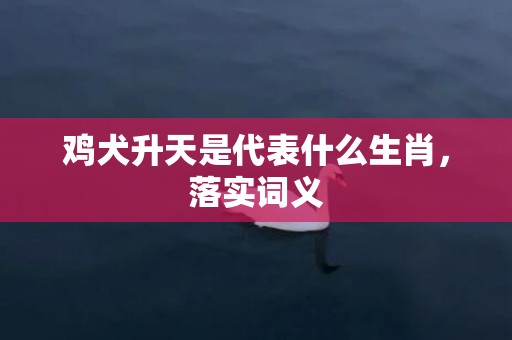 鸡犬升天是代表什么生肖，落实词义