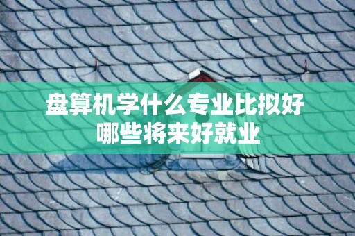 盘算机学什么专业比拟好 哪些将来好就业