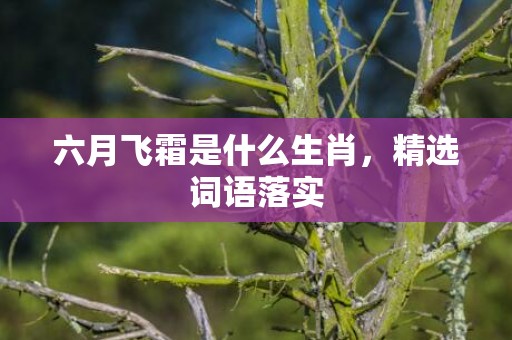 六月飞霜是什么生肖，精选词语落实