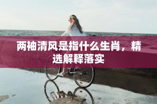 两袖清风是指什么生肖，精选解释落实