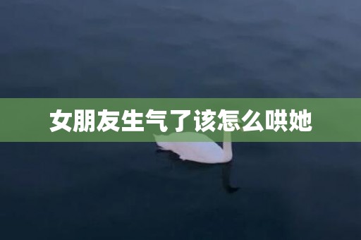 女朋友生气了该怎么哄她