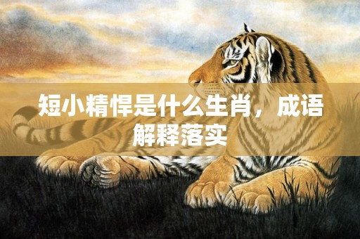 短小精悍是什么生肖，成语解释落实