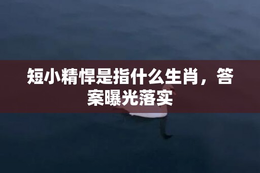 短小精悍是指什么生肖，答案曝光落实