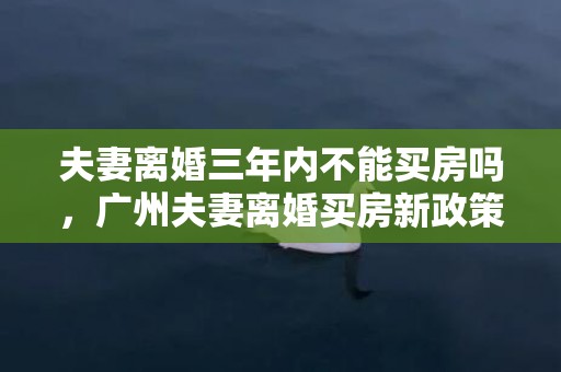 夫妻离婚三年内不能买房吗，广州夫妻离婚买房新政策，夫妻离婚买房算首套吗