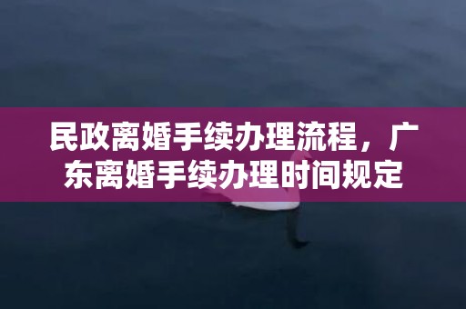 民政离婚手续办理流程，广东离婚手续办理时间规定