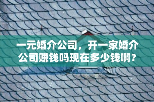 一元婚介公司，开一家婚介公司赚钱吗现在多少钱啊？开婚介公司需要什么条件