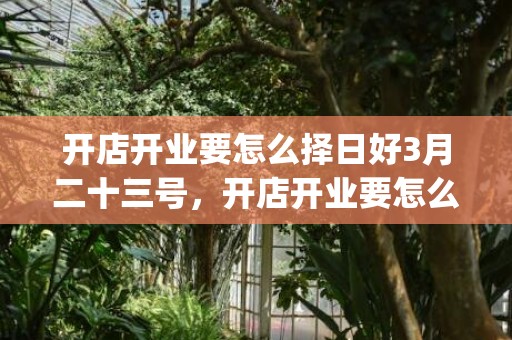开店开业要怎么择日好3月二十三号，开店开业要怎么择日好(根据生辰八字算开业吉日)