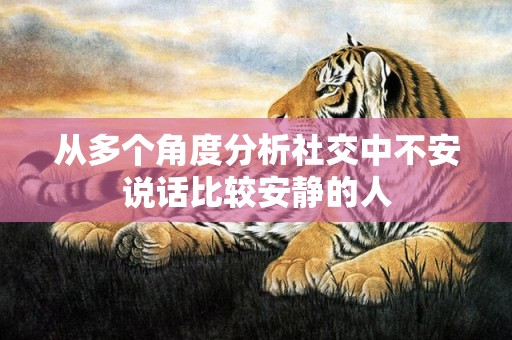 从多个角度分析社交中不安说话比较安静的人
