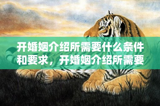 开婚姻介绍所需要什么条件和要求，开婚姻介绍所需要办什么证
