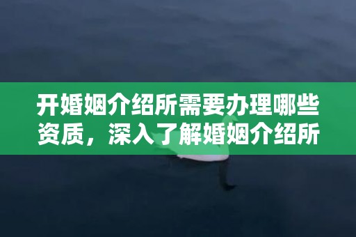 开婚姻介绍所需要办理哪些资质，深入了解婚姻介绍所资格证书