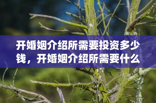 开婚姻介绍所需要投资多少钱，开婚姻介绍所需要什么资料呢(婚姻介绍所哪个好)