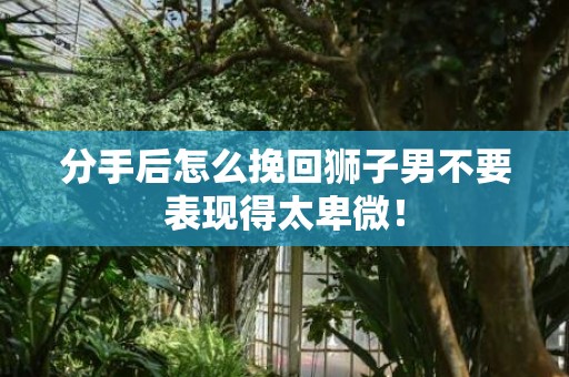 分手后怎么挽回狮子男不要表现得太卑微！