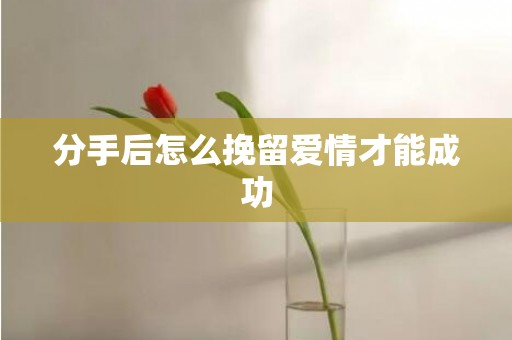 分手后怎么挽留爱情才能成功