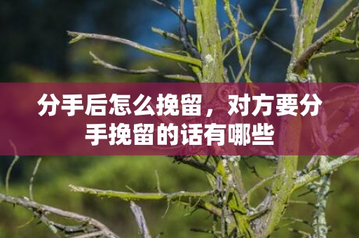 分手后怎么挽留，对方要分手挽留的话有哪些