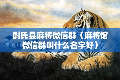 尉氏县麻将微信群（麻将馆微信群叫什么名字好）