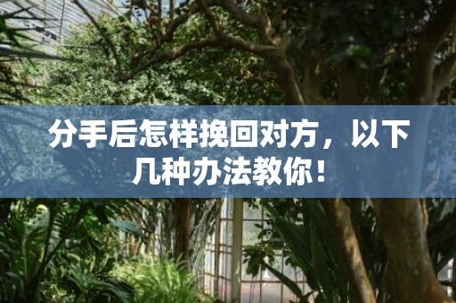分手后怎样挽回对方，以下几种办法教你！