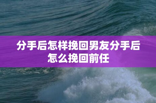 分手后怎样挽回男友分手后怎么挽回前任