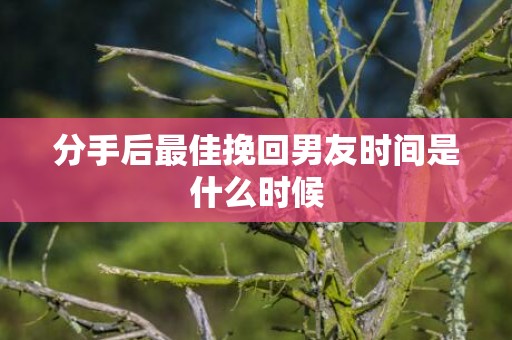 分手后最佳挽回男友时间是什么时候