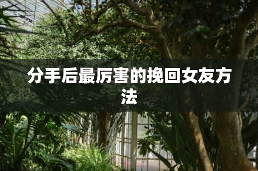 分手后最厉害的挽回女友方法