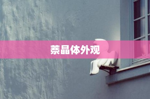 萘晶体外观