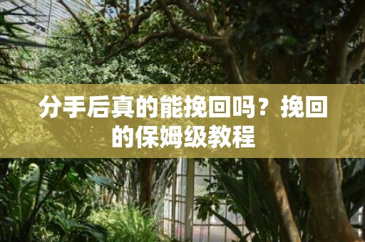 分手后真的能挽回吗？挽回的保姆级教程