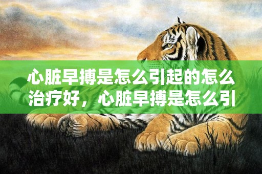 心脏早搏是怎么引起的怎么治疗好，心脏早搏是怎么引起的 心脏早搏怎么锤炼