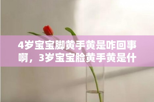 4岁宝宝脚黄手黄是咋回事啊，3岁宝宝脸黄手黄是什么原因