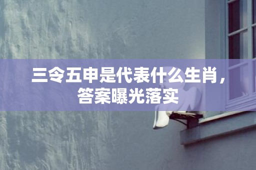 三令五申是代表什么生肖，答案曝光落实