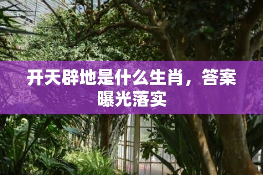 开天辟地是什么生肖，答案曝光落实