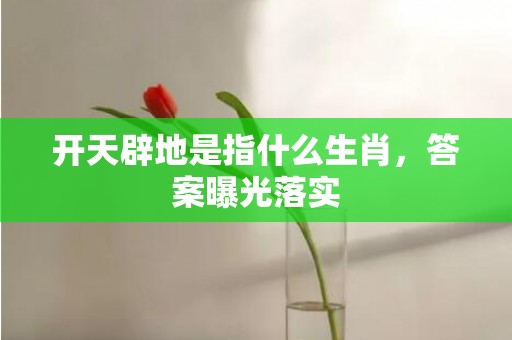 开天辟地是指什么生肖，答案曝光落实