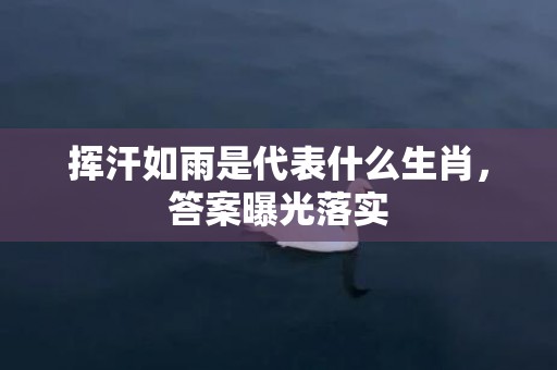 挥汗如雨是代表什么生肖，答案曝光落实