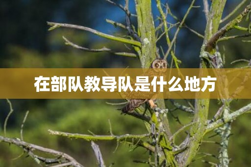 在部队教导队是什么地方