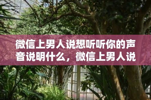 微信上男人说想听听你的声音说明什么，微信上男人说想听听你的声音说明什么？男人总是发微信说想你是