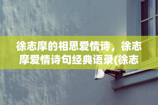 徐志摩的相思爱情诗，徐志摩爱情诗句经典语录(徐志摩浪漫的句子)