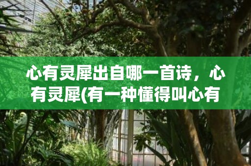 心有灵犀出自哪一首诗，心有灵犀(有一种懂得叫心有灵犀)