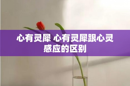 心有灵犀 心有灵犀跟心灵感应的区别