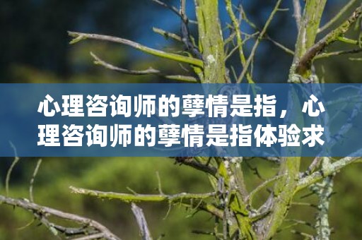 心理咨询师的孽情是指，心理咨询师的孽情是指体验求助者的内心要做到