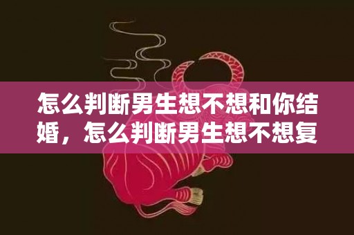 怎么判断男生想不想和你结婚，怎么判断男生想不想复合 男人想要复合是在试探对方吗