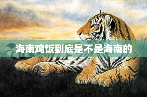 海南鸡饭到底是不是海南的